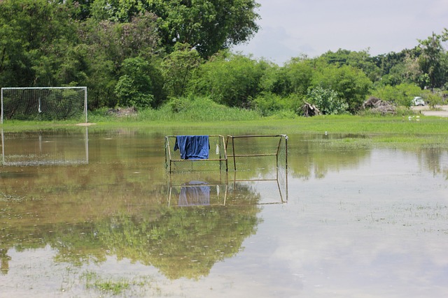 以帮助推进 以帮助推进