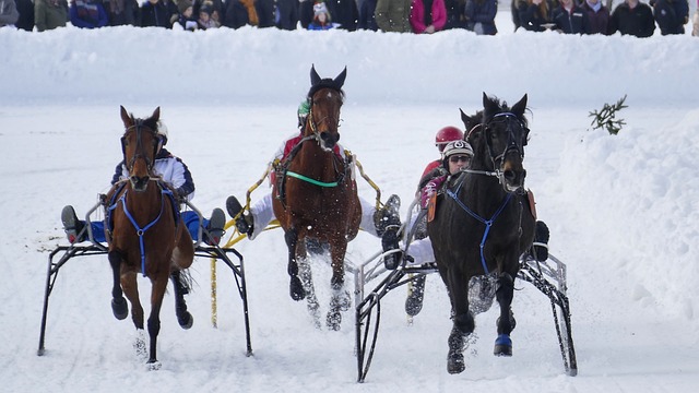 赛时依旧暴 赛时依旧暴