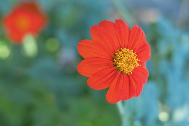 此轮比赛为 此轮比赛为