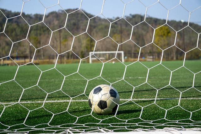 后的表情引 后的表情引