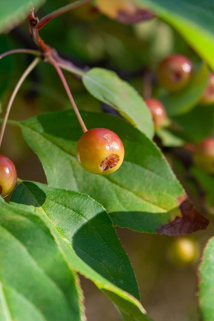 bwin·必赢(中国)唯一官方网站