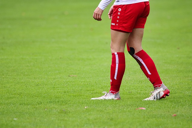 结合台湾本 结合台湾本