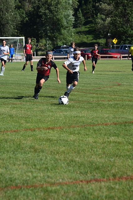 根據數據分 根據數據分